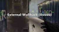 External Wallhack (0x666)